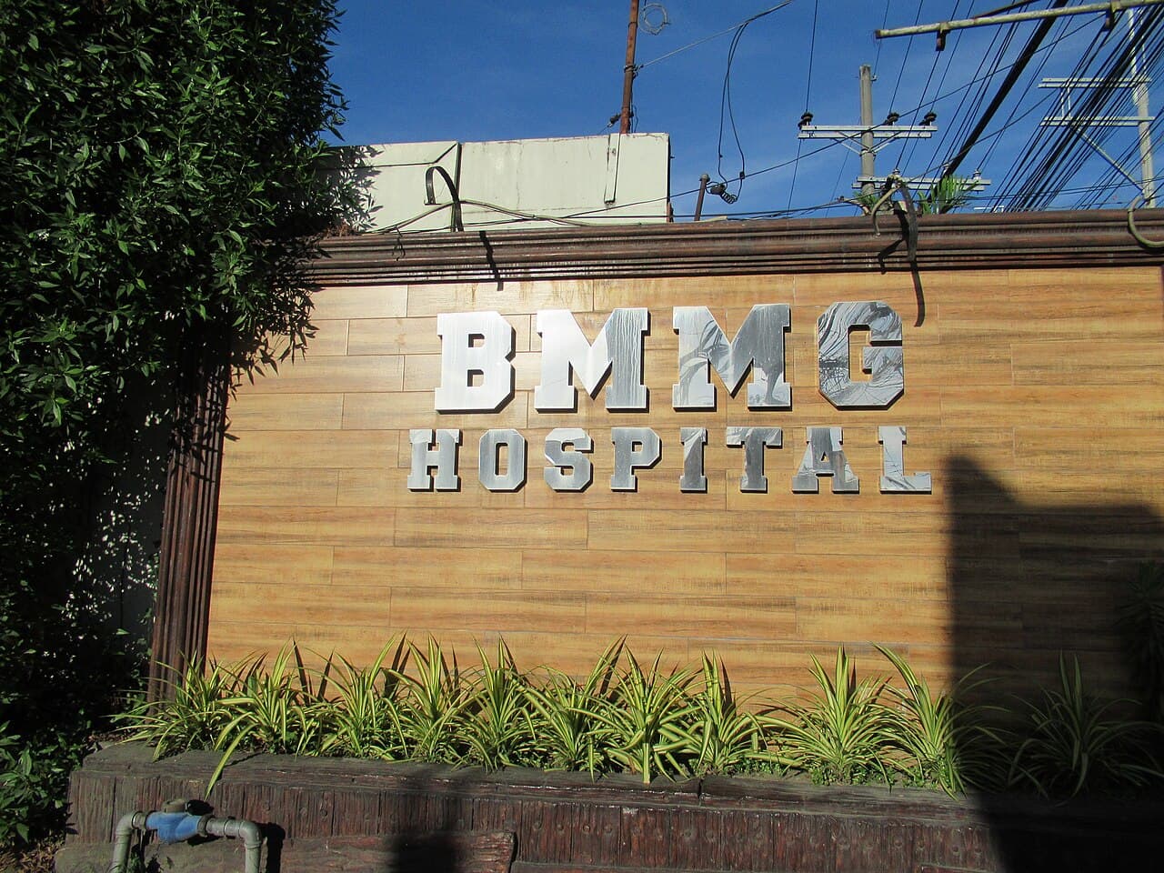 Free consultations, medicine & surgeries